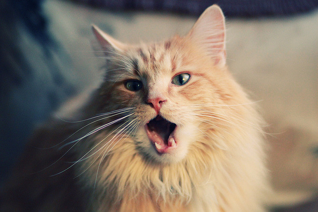 莱比锡红牛快速反击直击防守空位，莱比锡红牛战术特点