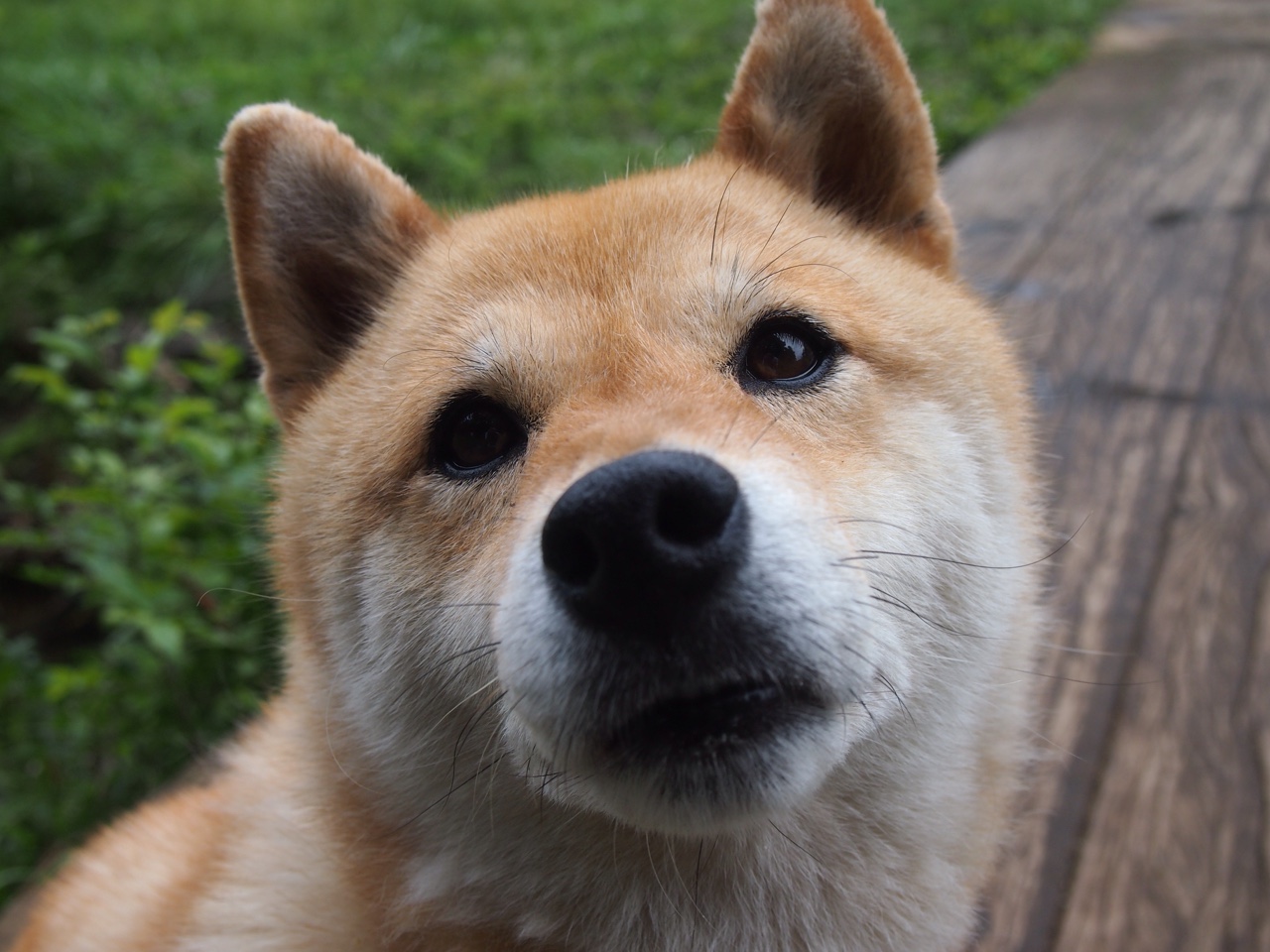 体育明星社交平台带动赛事宣传热度，打造体育明星