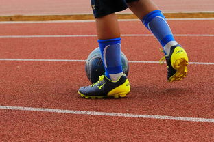 开yun体育-明星球员带动体育产业发展，打造体育明星的弊端